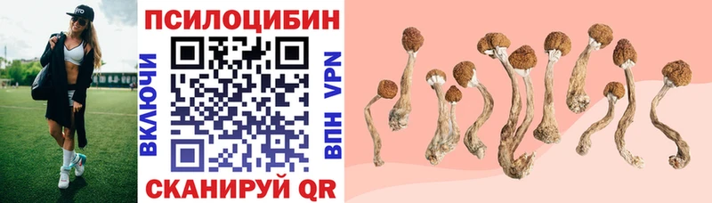 Купить где  Камбарка  Псилоцибиновые грибы мухоморы 
